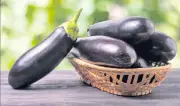 Patlıcanın Faydaları ve Köz Patlıcanlı Yaz Tavası Tarifi