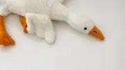 'Peluş kaz' oyuncağı piyasadan toplatılıyor: Boğulma riski