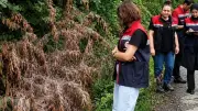 Rize'de Amerikan Beyaz Kelebeği İstilasına Karşı Mücadele Başladı