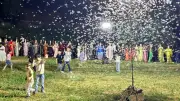 Şırnak'ta Kelebek İstilası: Kına Gecesinde Halay Çekilemedi