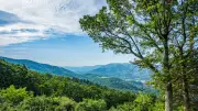 Roanoke Kolonisi'nin 100 Kayıp Sakinine Dair Yeni İpuçları Bulundu