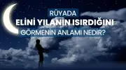 Rüyada Elini Yılan Isırması Ne Anlama Gelir? Detaylı Yorumlar