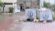 Sakarya'da bebeğini çöp konteynerine bırakan baba tutuklandı