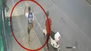 Samsun'da kediye tekme atan şahıs güvenlik kamerasında