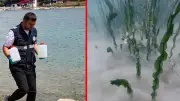 Sapanca Gölü'ndeki Pamuksu Madde Alg Çıktı: Risk Yok