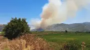 Söke'de zirai alanda çıkan yangına havadan ve karadan müdahale sürüyor