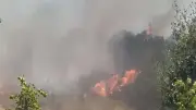 Son Dakika: Çanakkale Ayvacık'ta orman yangını! Havadan ve karadan müdahale sürüyor