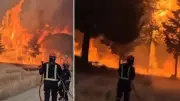 İspanya'da Orman Yangınları: 60 Bin Kişi Tahliye Edildi, 1 Kişi Hayatını Kaybetti