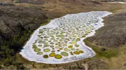 Spotted Lake: Yazın 365 Havuza Dönüşen Doğa Harikası
