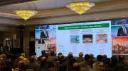 İstanbul'da Türkiye-Pakistan İş Forumu: Yeni İş Birliği Dönemi