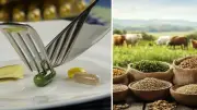 Tarım Bakanlığı Kontrollü İthalat Ürün Listesi Güncellendi