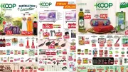 Tarım Kredi Market 13 Temmuz'a Kadar Geçerli İndirimler: Zeytinyağı 239 TL, Dana Kıyma 230 TL