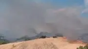 Tekirdağ Malkara'da anız yangını ormana sıçradı: 3 saatte kontrol altına alındı