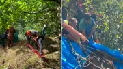 Trabzon'da yamaçtan yuvarlanan inek 3 saatte kurtarıldı