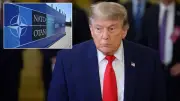 Trump: ABD, NATO'ya diğer ülkelerden daha fazla harcıyor, fayda sağlamıyor