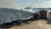 Uşak'taki meşelik yangınına müdahale sürüyor