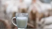 USK çiğ süt fiyatını sabit tuttu: Litre başına 24,30 TL