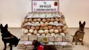 Van'da 333 Kilogram Skunk Ele Geçirildi, 2 Şüpheli Yakalandı