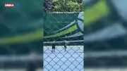 Yasemin Şefkatli'nin İkizleri 'Federer x Nadal' Düellosuyla Sosyal Medyada Beğeni Topladı