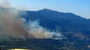 İzmir Menemen'de tarım alanında çıkan yangın kontrol altına alındı