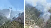 İzmir Narlıdere'de orman yangını kontrol altına alındı