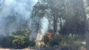 İzmir'deki Orman Yangınlarıyla İlgili İki Şüpheli Gözaltına Alındı
