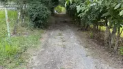 Zonguldak'ın Tarihi Kaptaş İpek Yolu 60 Yıl Sonra Yeniden Açılıyor