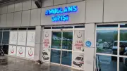 Zonguldak'ta eşek arısı sokması: Aysel Y.'nin hayati tehlikesi sürüyor