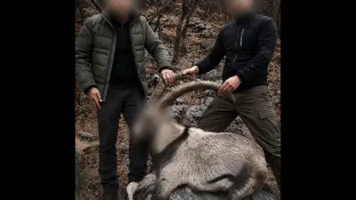 6 Yıl Önce 5 Yaban Keçisini Avlayan 2 Kişiye Para Cezası