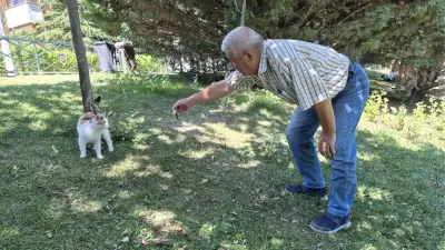 Akıllı Sokak Kedisi Balık Tutan Adamın Başından Ayrılmadı