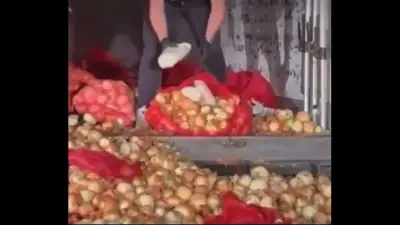 Ankara'da soğan torbaları içinden 150 kilogram metamfetamin çıktı