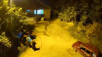 Anne ve oğlunun ayı paniği kamerada: Hopa'da gece korku dolu anlar