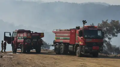 Aydın Çine'deki orman yangınında söndürme çalışmaları 4 gündür sürüyor