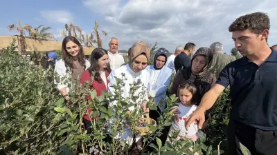 Bakan Göktaş, Düzce'de çocuklarla yaban mersini topladı