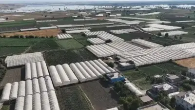 Balpınar'da 2 serayla başlayan yolculuk 650 milyon lira getiriyor