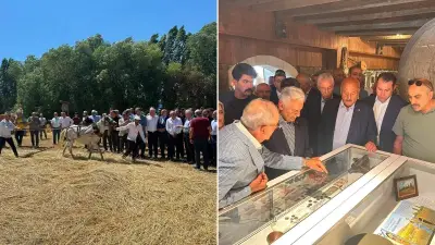 Bayburt'taki Harman Şenliği'nde Tarım Aletleriyle Hasat