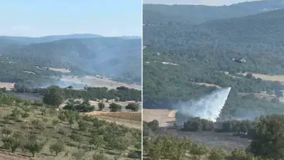 Bilecik Söğüt'te orman yangını kontrol altına alındı