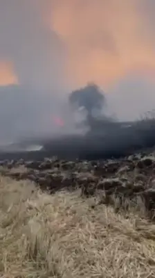 Bolu Göynük'te orman yangını: Ekipler seferber oldu