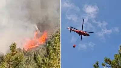 Bolu Göynük'te orman yangını: Havadan ve karadan müdahale