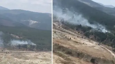 Bursa'da orman yangını: Havadan ve karadan müdahale ediliyor