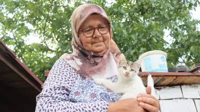 Emekli çift, bahçelerini 30 sahipsiz kedi için yuvaya dönüştürdü