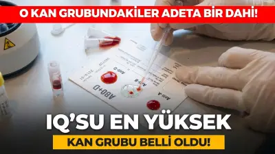 En Yüksek IQ Hangi Kan Grubunda? Japon Bilim İnsanları Açıkladı