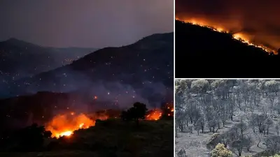 Fransa'nın güneydoğusunda yangın: 2 bin 500 kişi tahliye edildi