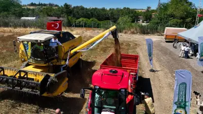 Gölbaşı'nda karabuğday hasadı: Tescil başvuruları başlıyor