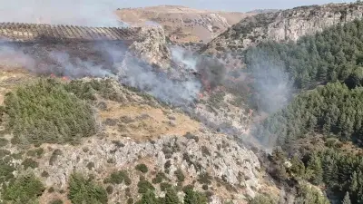Hatay'da Orman Yangını Havadan ve Karadan Müdahaleyle Kontrol Altında