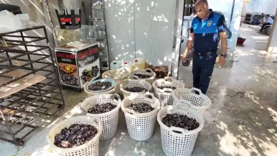 Mersin'de 200 kilo bozuk midye dolması ele geçirildi: Gazete kağıdıyla pişirmişler