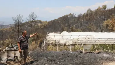 Muğla Büyükşehir'den Seydikemer'de yangın mağduru üreticilere destek