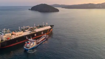 Rusya gölge filosunu büyütüyor: LNG tankerleriyle yaptırımlara direniyor