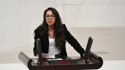 Sera Kadıgil'e 'Cumhurbaşkanına hakaret' ve 'tehdit' soruşturması