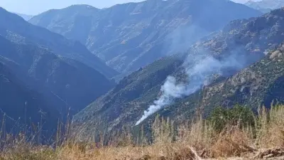 Tunceli Munzur Vadisi'nde yangın: Venk bölgesinde orman yangınına müdahale sürüyor